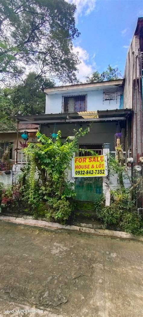 542 house and lots in San Vicente .